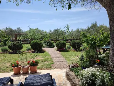 Vrt u objektu House Kuna - kuća za odmor i opuštanje -NP Krka