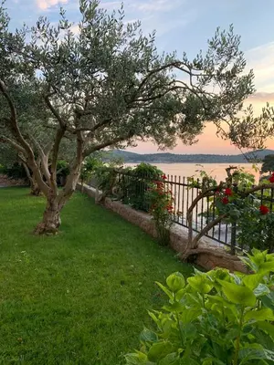 Priroda u blizini apartmana