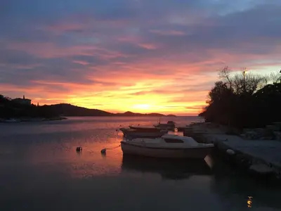 Priroda u blizini apartmana