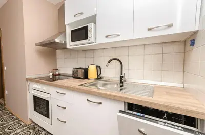 Kuhinja ili čajna kuhinja u objektu House Rajka I