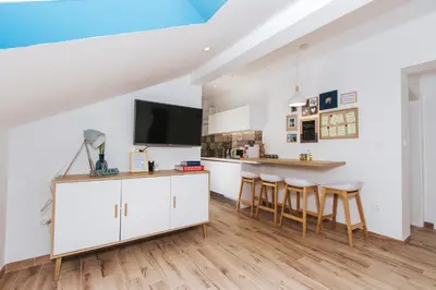TV i/ili zabavni centar u objektu Fyaka Loft Apartments