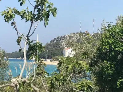 Priroda u blizini apartmana
