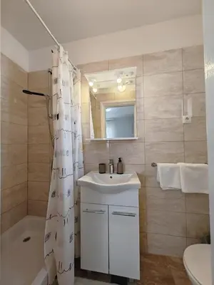 Kupaonica u objektu Apartments & Rooms Samohod