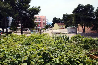 Vrt u objektu Apartments & Rooms Samohod