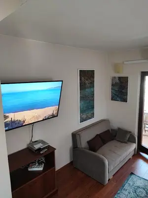TV i/ili zabavni centar u objektu Apartmani Sovlja Bay