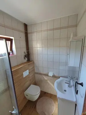 Kupaonica u objektu Apartmani Sovlja Bay