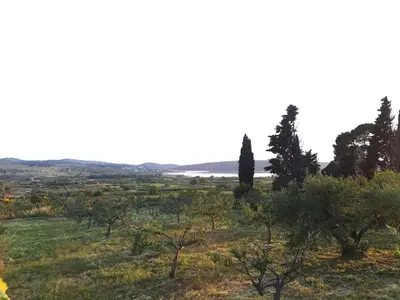 Priroda u blizini vikendica