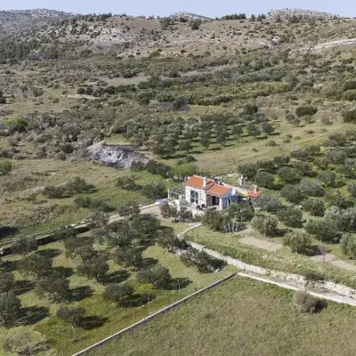 Holiday home Olive