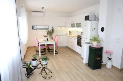 Kuhinja ili čajna kuhinja u objektu Apartman Anđela