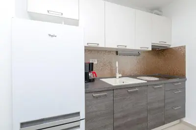 Kuhinja ili čajna kuhinja u objektu Apartments Danica