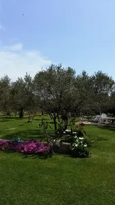 Vrt u objektu Villa Spanja