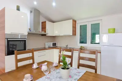 Kuhinja ili čajna kuhinja u objektu Apartment Ervin