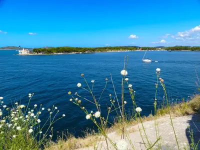 Priroda u blizini vila
