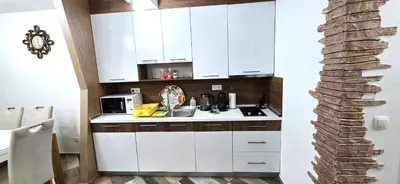 Kuhinja ili čajna kuhinja u objektu Vila Tatjana