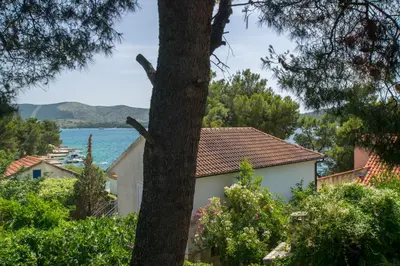 Priroda u blizini apartmana