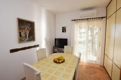 TV i/ili zabavni centar u objektu Apartment Vlasta