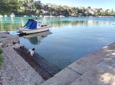 Priroda u blizini apartmana