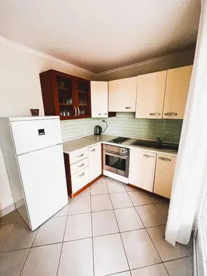 Kuhinja ili čajna kuhinja u objektu Apartments Metka