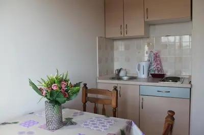 Kuhinja ili čajna kuhinja u objektu Apartments with parking space Brodarica, Sibenik - 15708