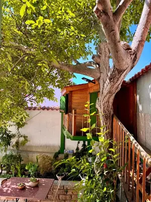 Vrt u objektu Apartments by the sea Tisno, Murter - 14346