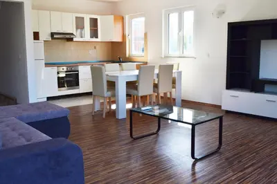 Kuhinja ili čajna kuhinja u objektu Apartman Ana