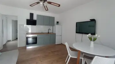 Kuhinja ili čajna kuhinja u objektu Apartments Tiho