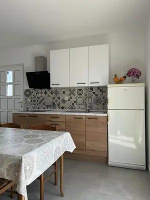 Kuhinja ili čajna kuhinja u objektu Apartments Ljubomir