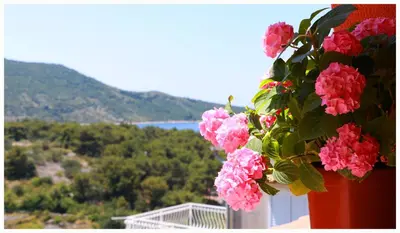 Priroda u blizini apartmana