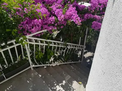 Balkon ili terasa u objektu Dalmati house