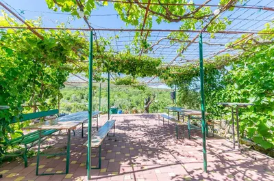 Vrt u objektu House Green Paradise