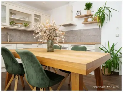 Kuhinja ili čajna kuhinja u objektu Apartment Frajla