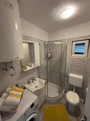 Kupaonica u objektu Rural Apartment Ante