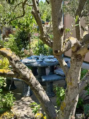 Vrt u objektu Rural Apartment Ante