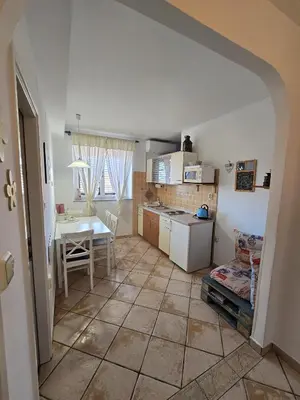 Kuhinja ili čajna kuhinja u objektu Apartments Ana+3