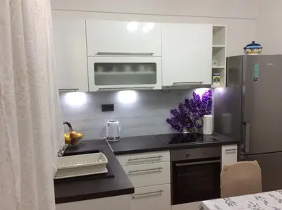 Kuhinja ili čajna kuhinja u objektu Apartment Karla SNB