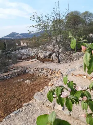 Priroda u blizini vila