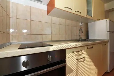 Kuhinja ili čajna kuhinja u objektu Apartments Slađana