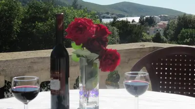Pogled na planine ili pogled na planine iz privatnih smještaja