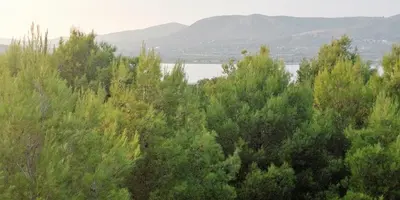 Priroda u blizini apartmana