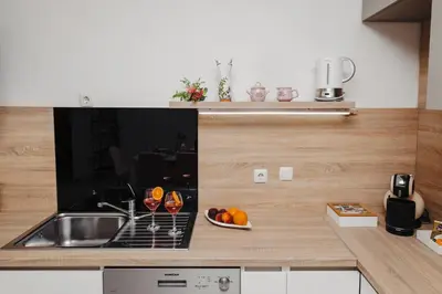 Kuhinja ili čajna kuhinja u objektu Apartman Branko
