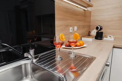 Kuhinja ili čajna kuhinja u objektu Apartman Branko