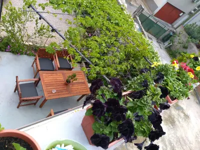 Vrt u objektu Green Oasis City Center Apartment