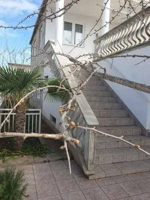 Zgrada u kojoj se nalazi apartman