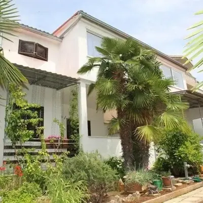 Apartment Plava Plaza (4382-2)