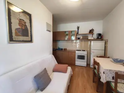 Kuhinja ili čajna kuhinja u objektu Lida