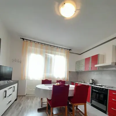 Kuhinja ili čajna kuhinja u objektu Apartmani Zvonimir