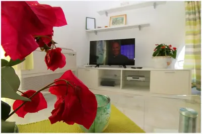TV i/ili zabavni centar u objektu Apartment Katarina and house Marieta