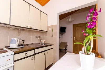 Kuhinja ili čajna kuhinja u objektu Apartments Rozalija