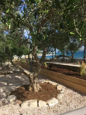 Priroda u blizini apartmana