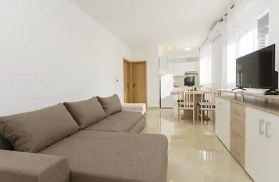 TV i/ili zabavni centar u objektu Apartments New home